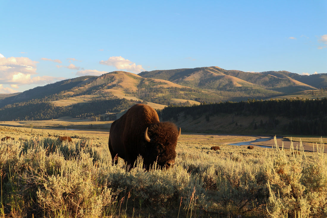 5 Steps to Hike the Best National Parks on a Budget